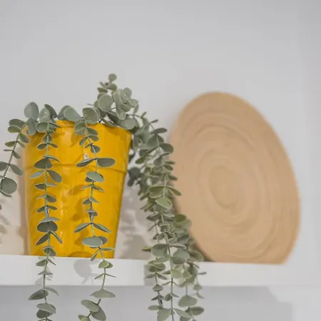 Guestready - Homey Experience In Appartement Oporto